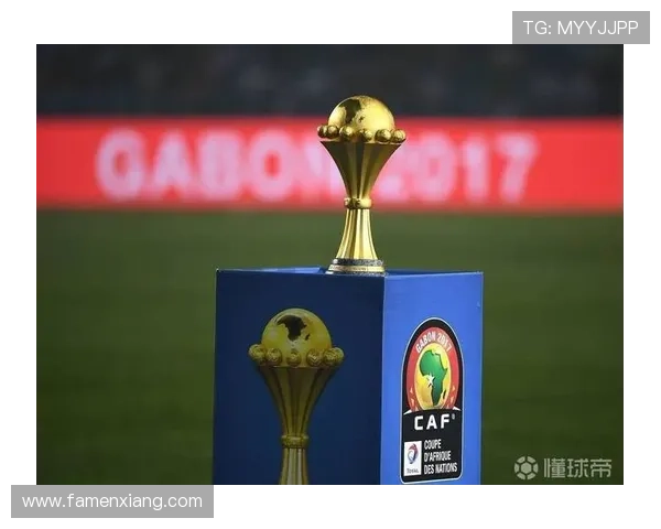 非洲杯决赛冲突非足联商讨处罚